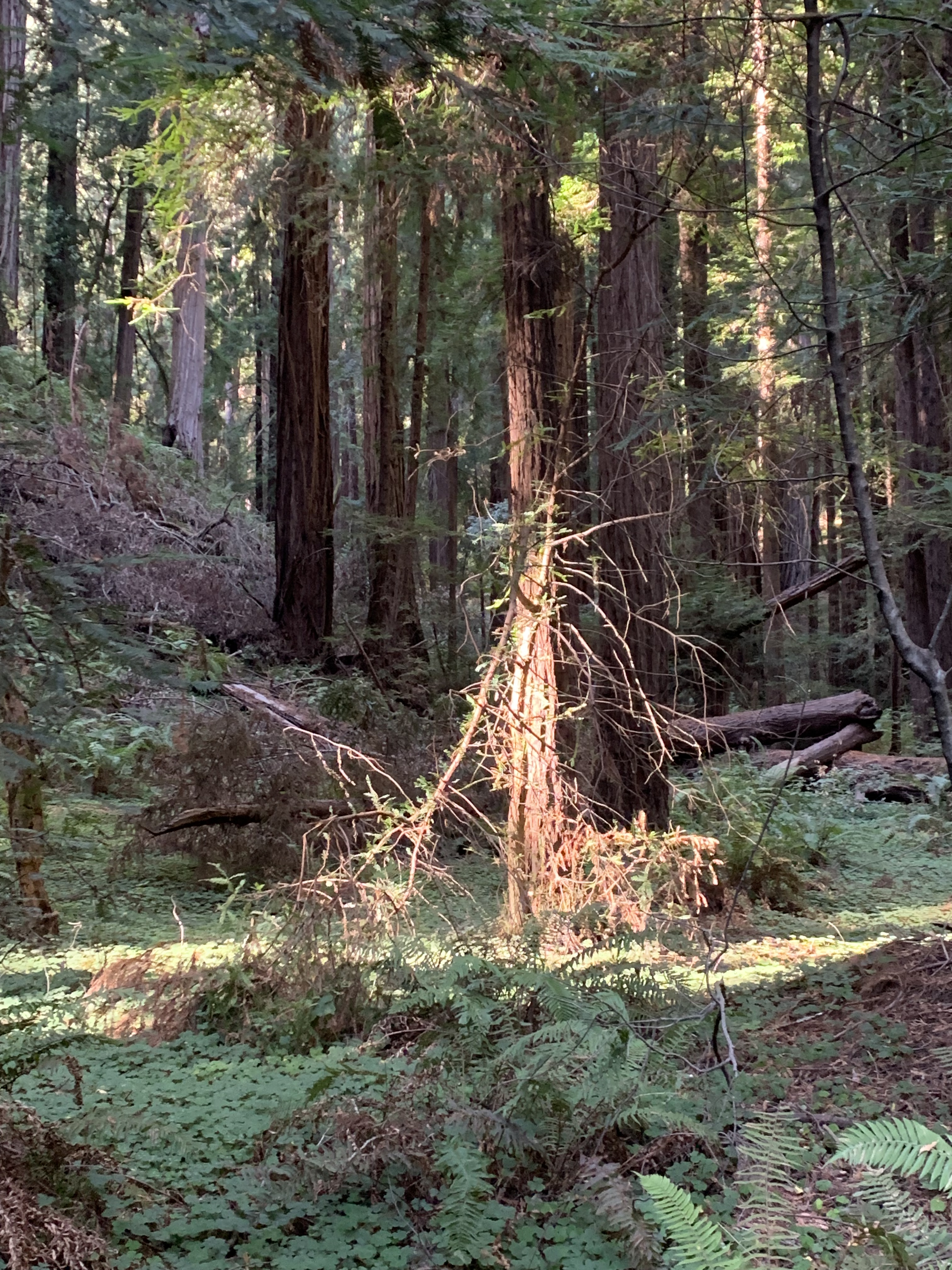 BBB7750C-9D5A-4D34-AB7B-08AE91D79A7F